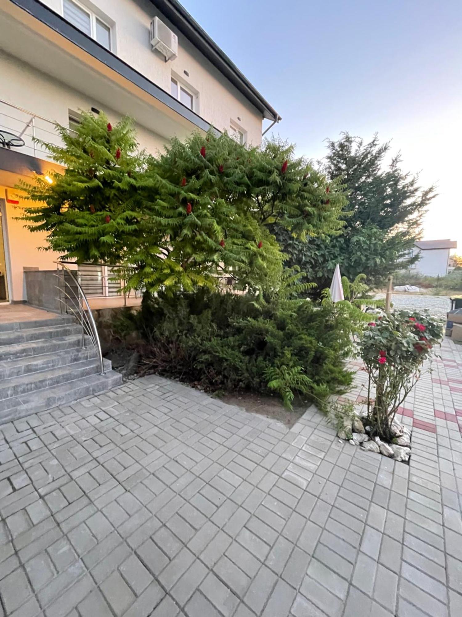 Hotel Dekor Costineşti Exteriér fotografie