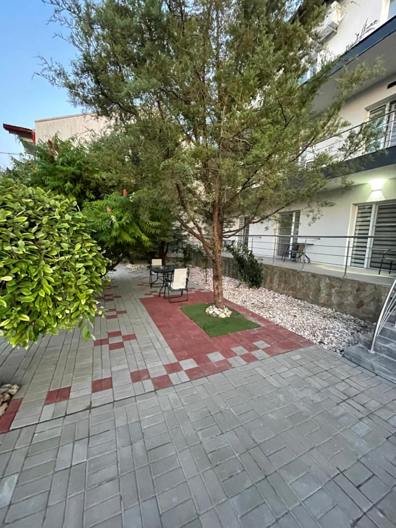 Hotel Dekor Costineşti Exteriér fotografie